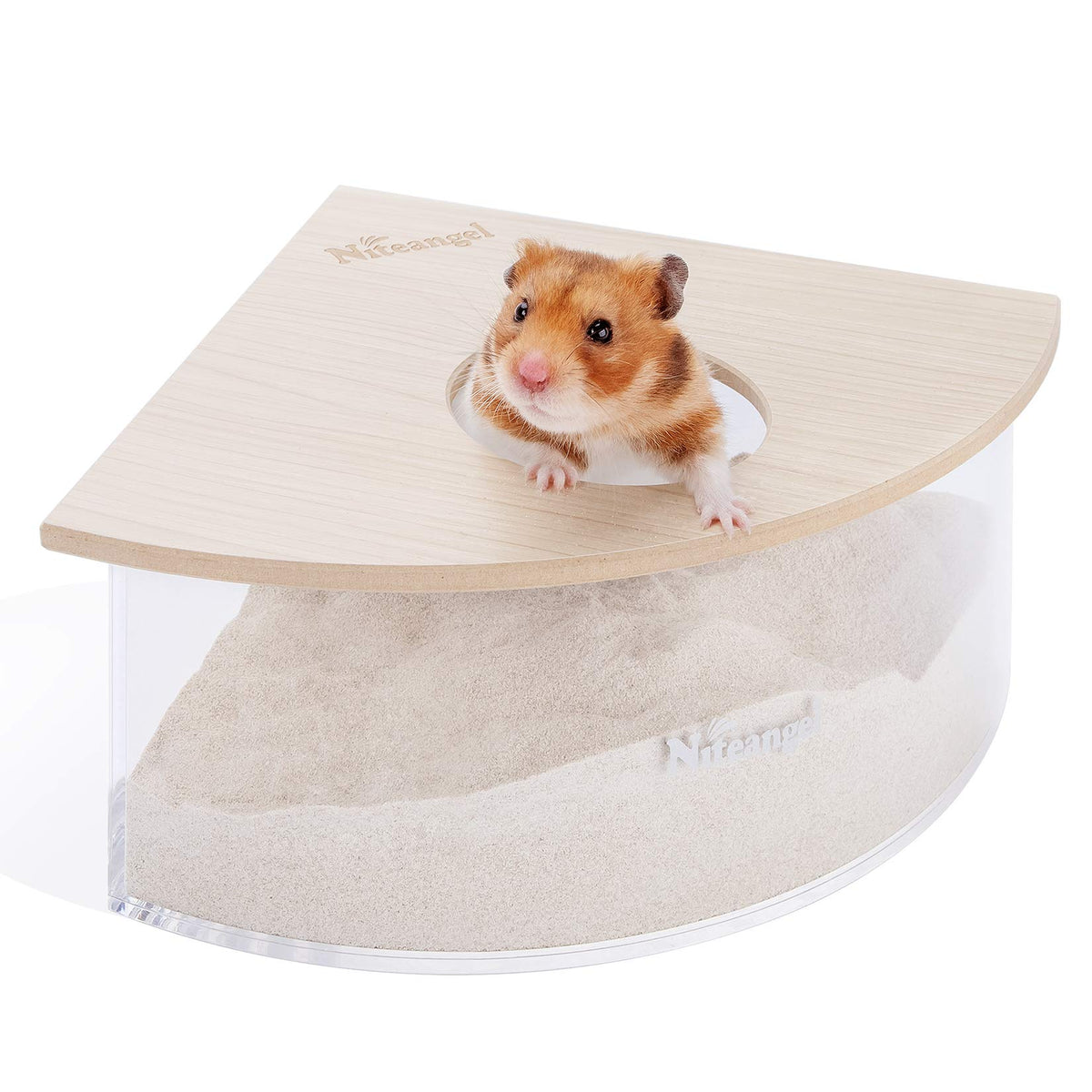 Niteangel sand-bath box triangle front view demonstrates space-saving corner placement for small habitats