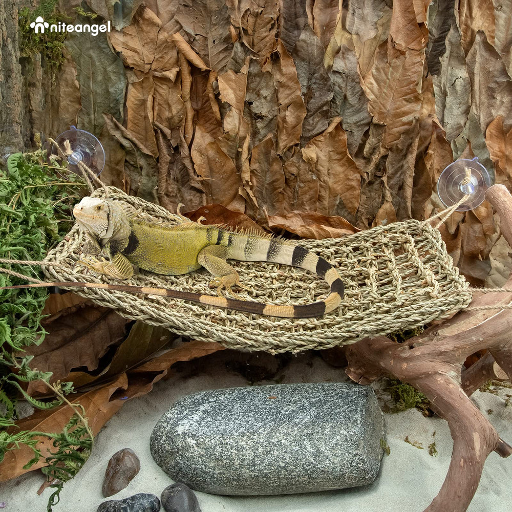 Niteangel hammock multi-level setup adds climbing space for enrichment.