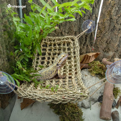 Niteangel hammock close-up reveals soft seagrass fibers for comfort.