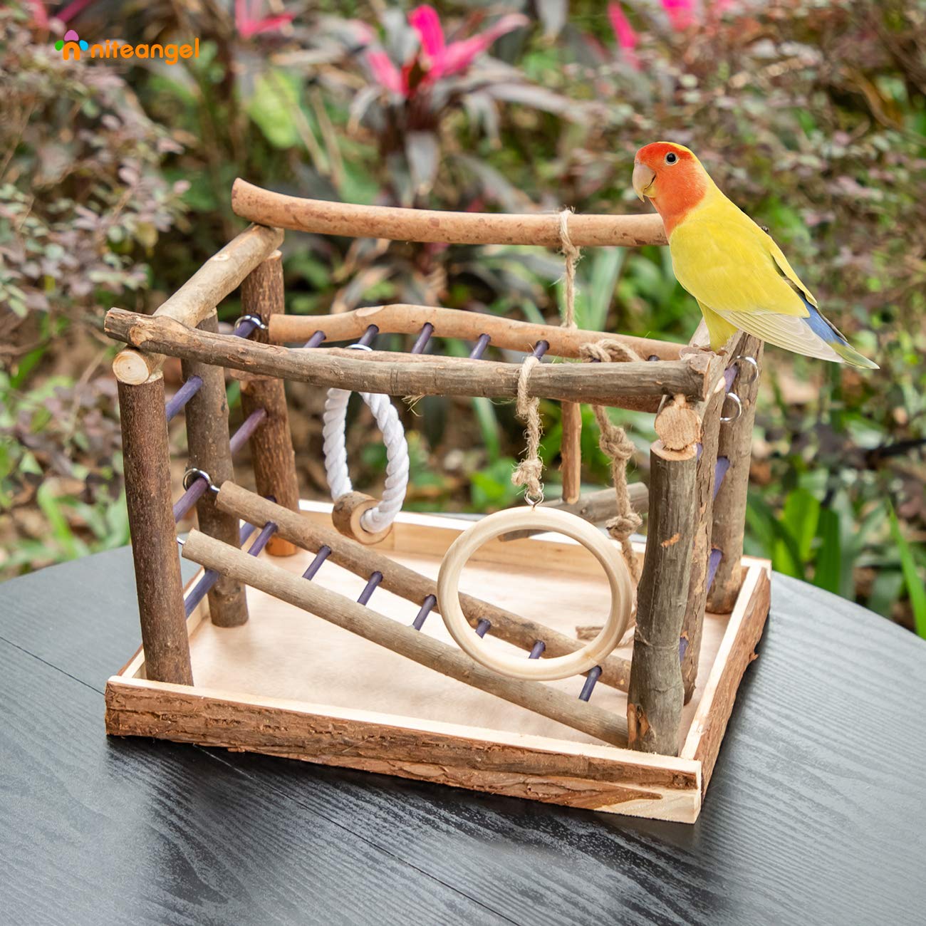 Niteangel Bird Activity Center ladders provide climbing enrichment for birds.