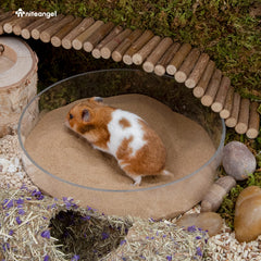 Niteangel desert habitat decor sand used as terrarium enrichment