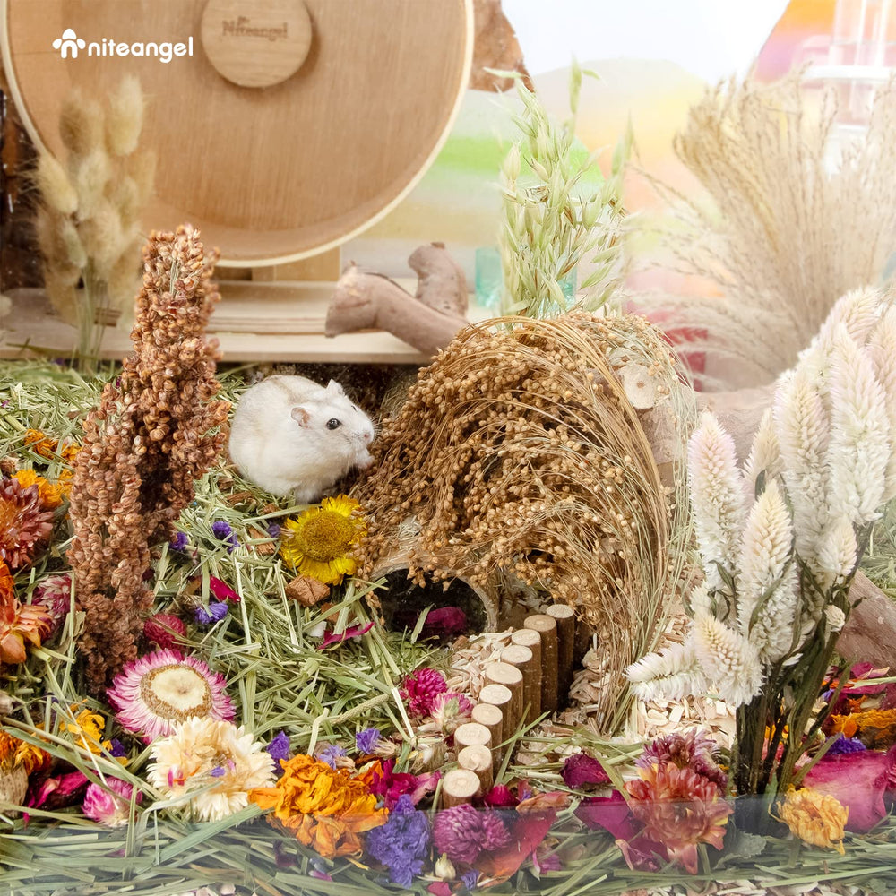 Niteangel nature-themed habitat decor showcases dried petals for habitat enrichment.