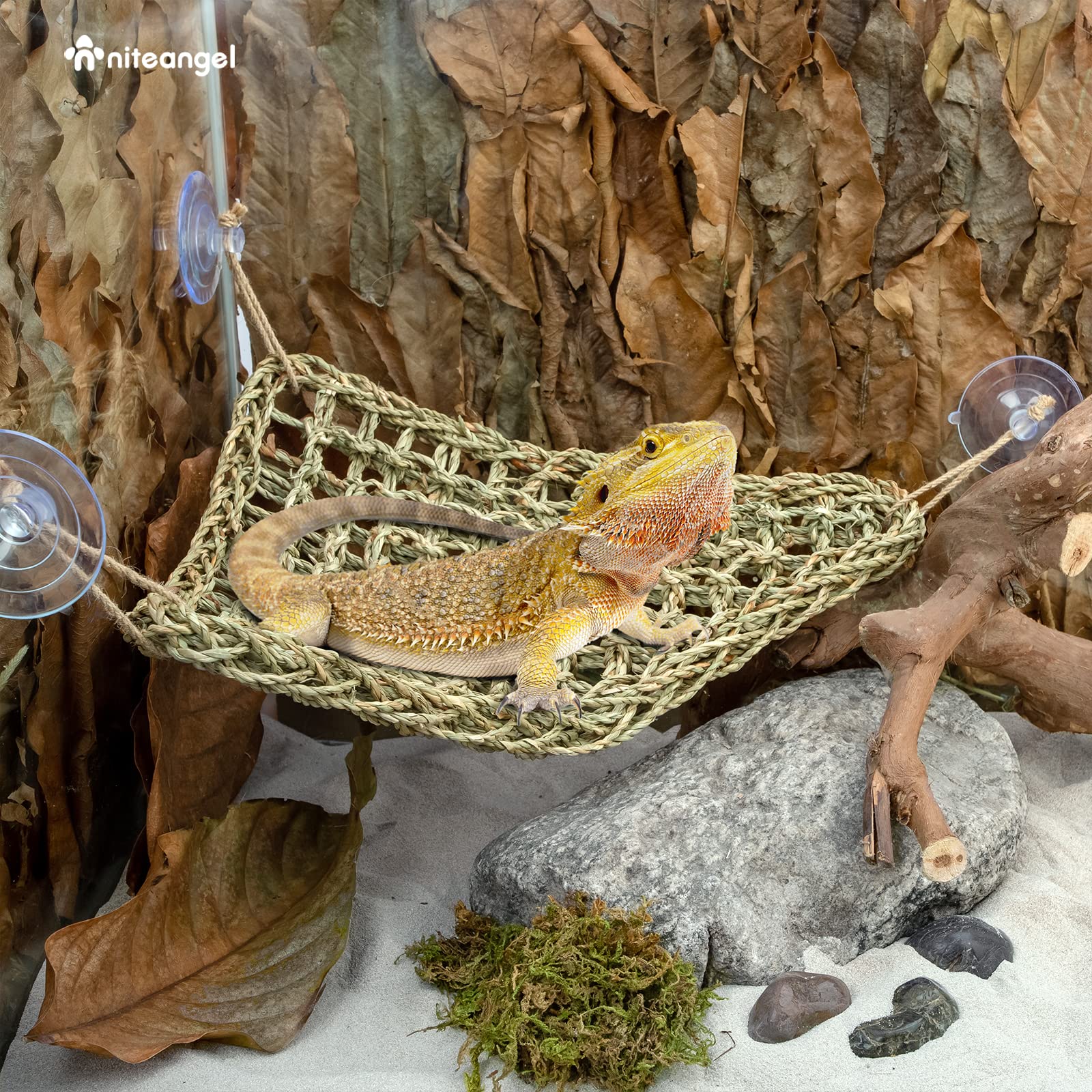 Niteangel Bearded Dragon Hammock elevated-vantage-point provides better enclosure observation.