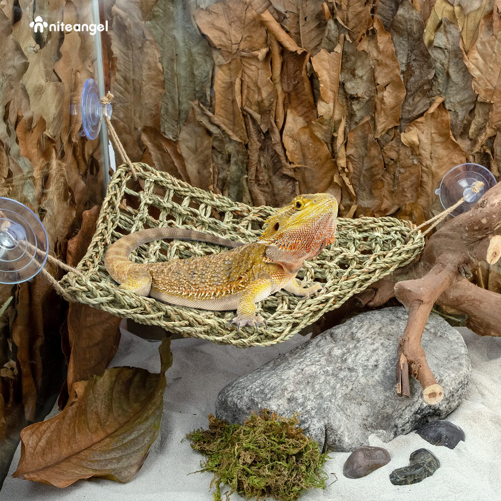 Niteangel Bearded Dragon Hammock elevated-vantage-point provides better enclosure observation.
