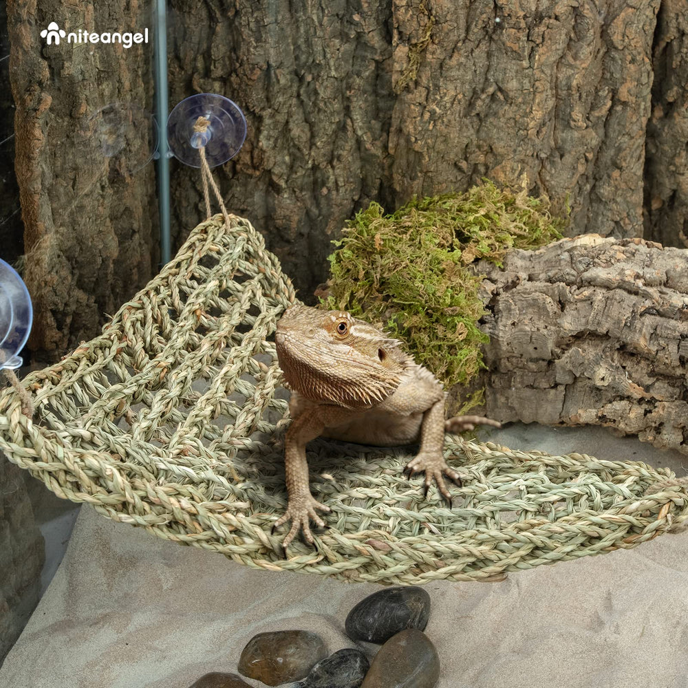 Niteangel Bearded Dragon Hammock terrarium-climbing-space adds vertical exploration.