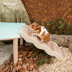 Niteangel hamster climbing toy chewy ramp birch-beech adds durable chewing surfaces for nibbling sessions.