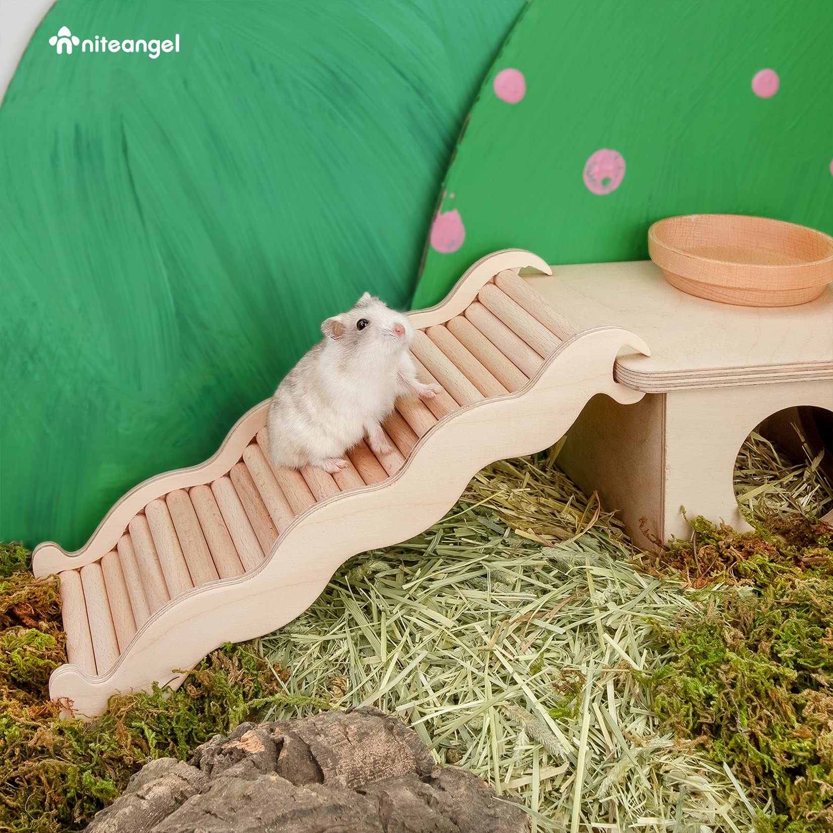 Niteangel hamster climbing toy expand space span invites exploration and enrichment in compact habitats.