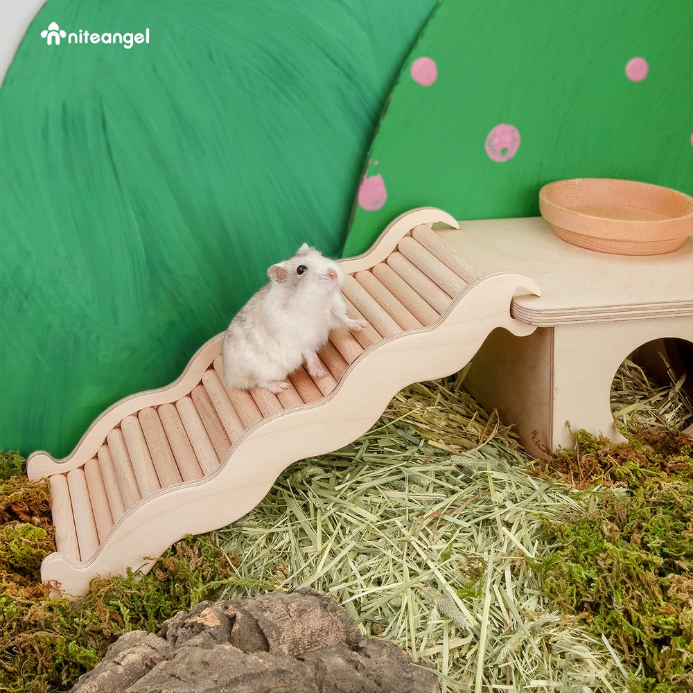 Niteangel hamster climbing toy expand space span invites exploration and enrichment in compact habitats.
