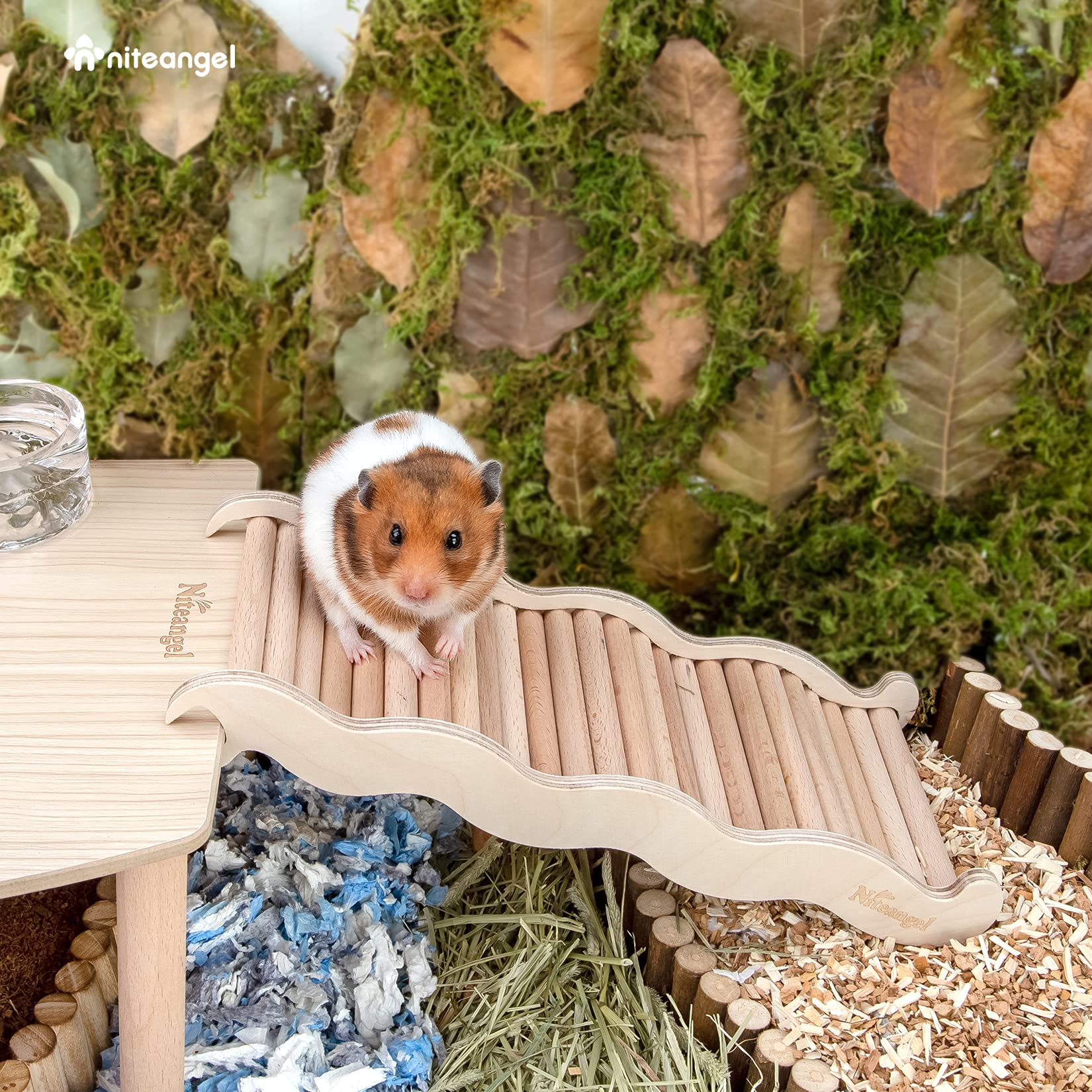 Niteangel hamster climbing toy side-view showcases durable design for safe, exploratory activity.