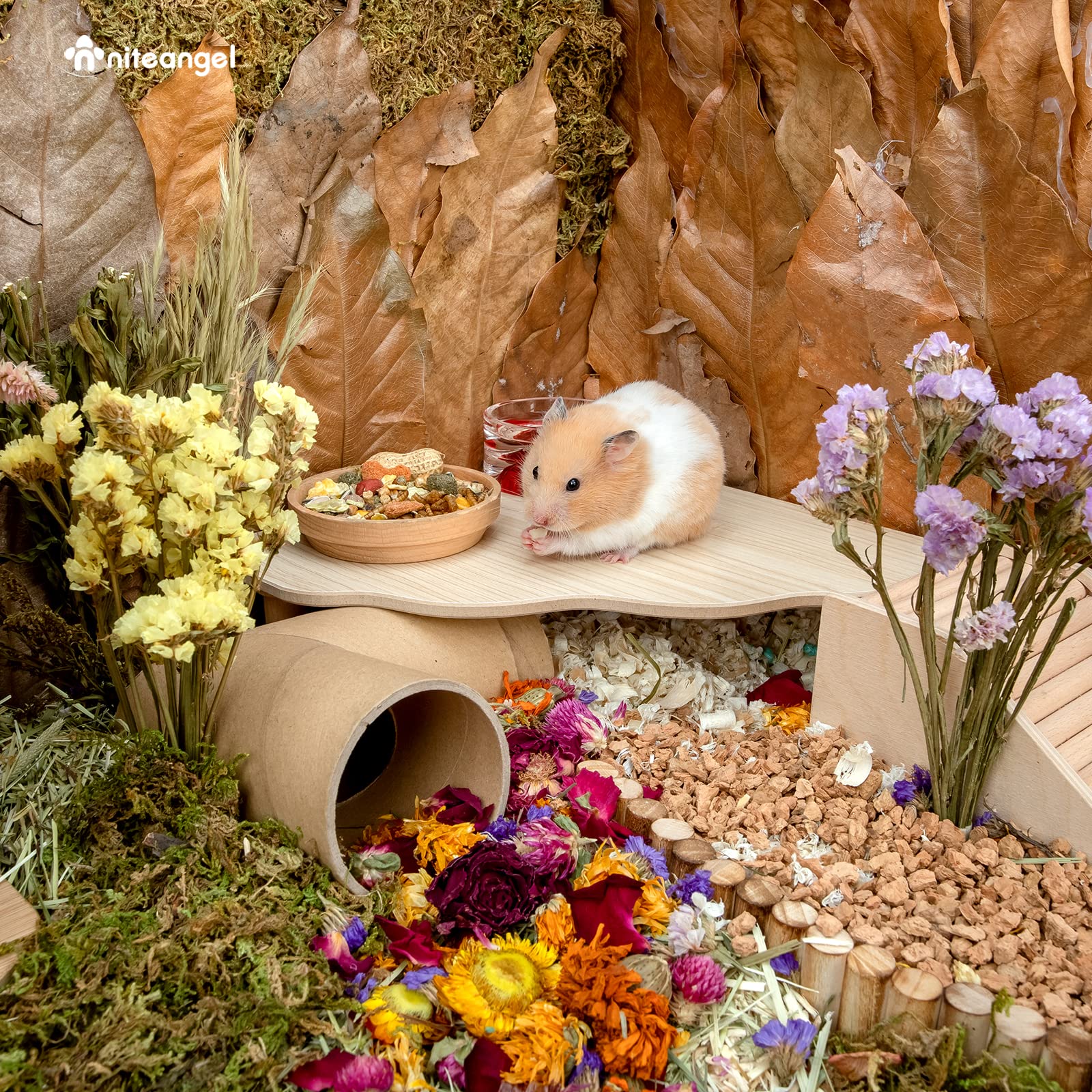 Niteangel platform with hamster eating shows versatile food-dish placement