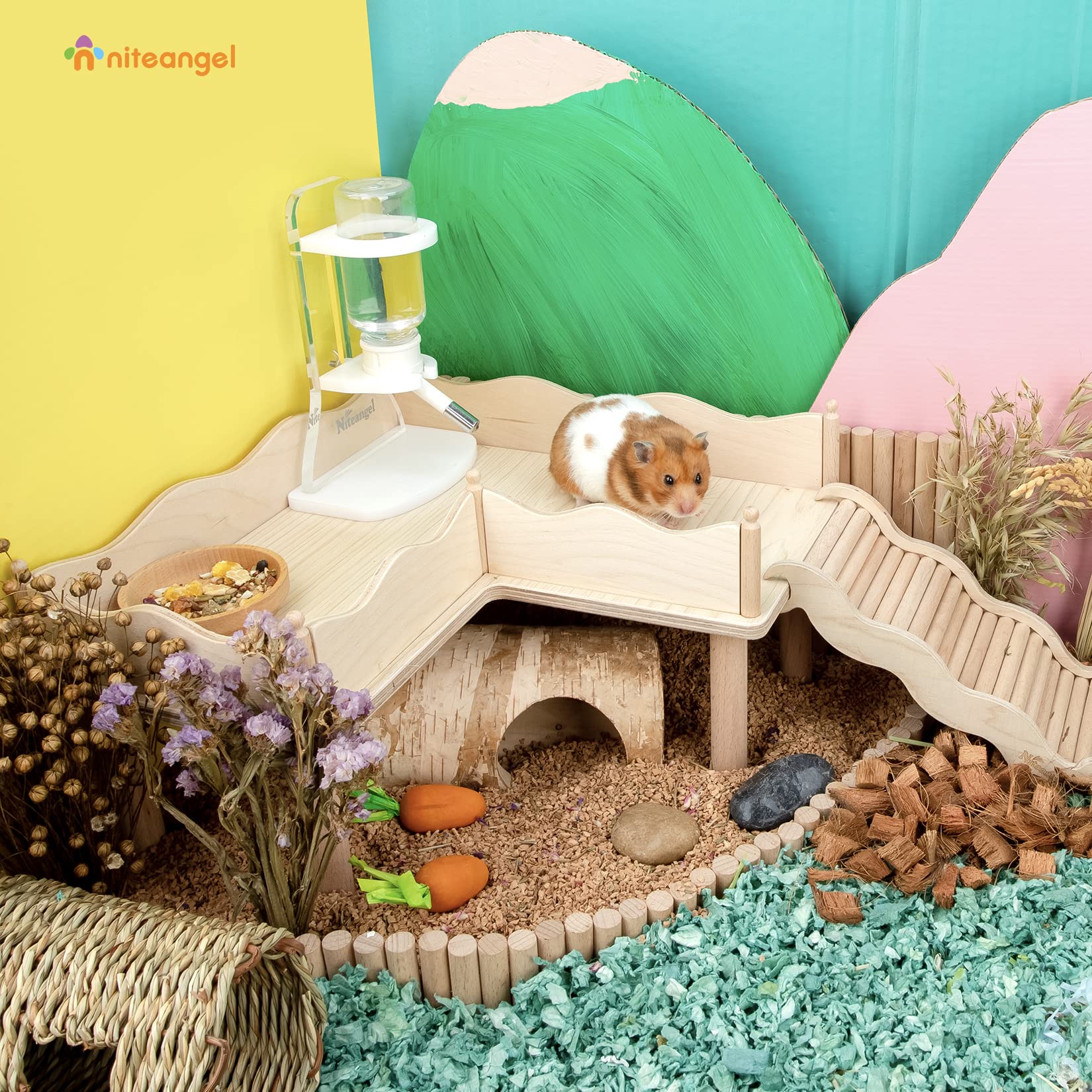 Niteangel hamster platform side view—safe, smooth surface supports curious exploration.