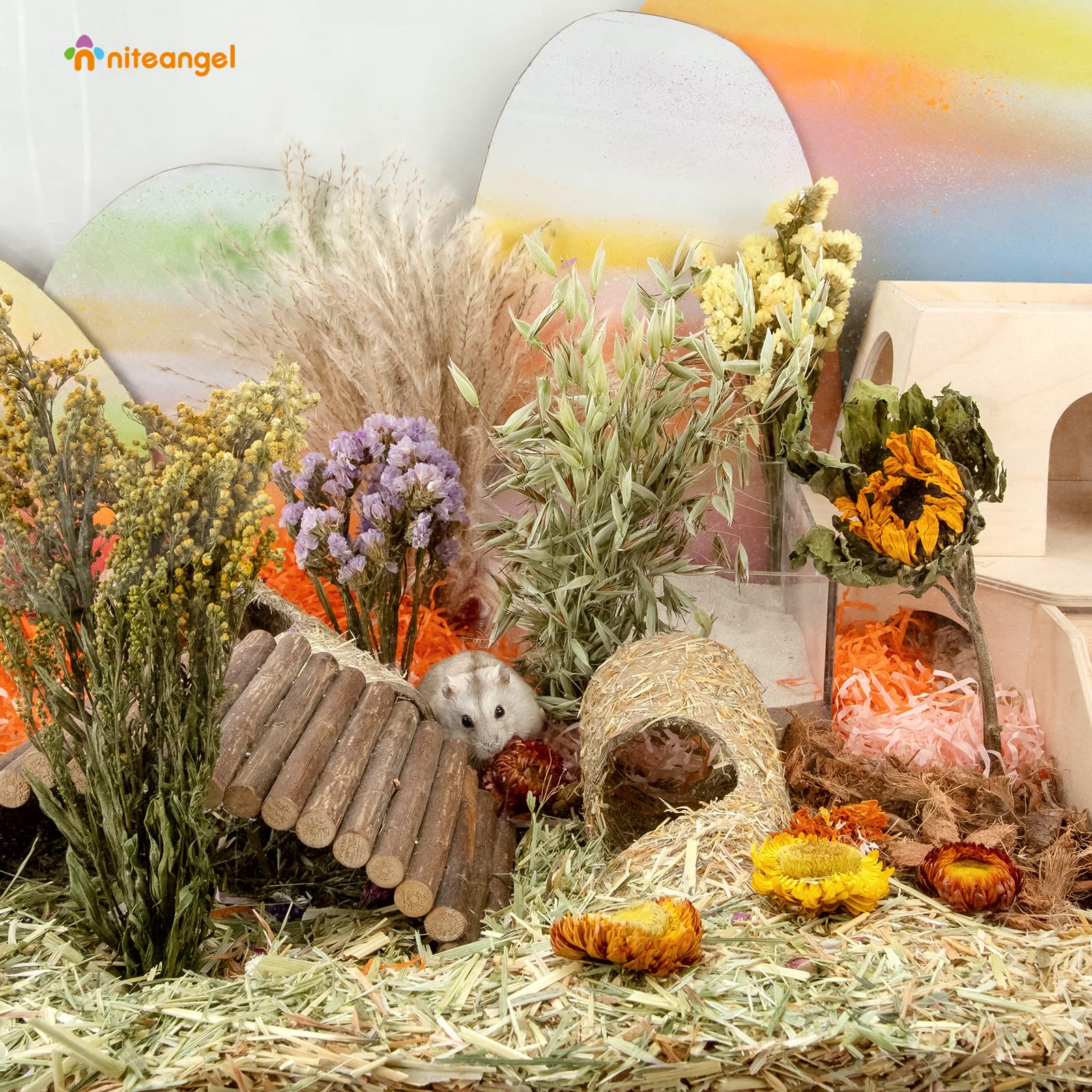 Niteangel Harvest Wind resealable bag keeps petals fresh for future enrichment.