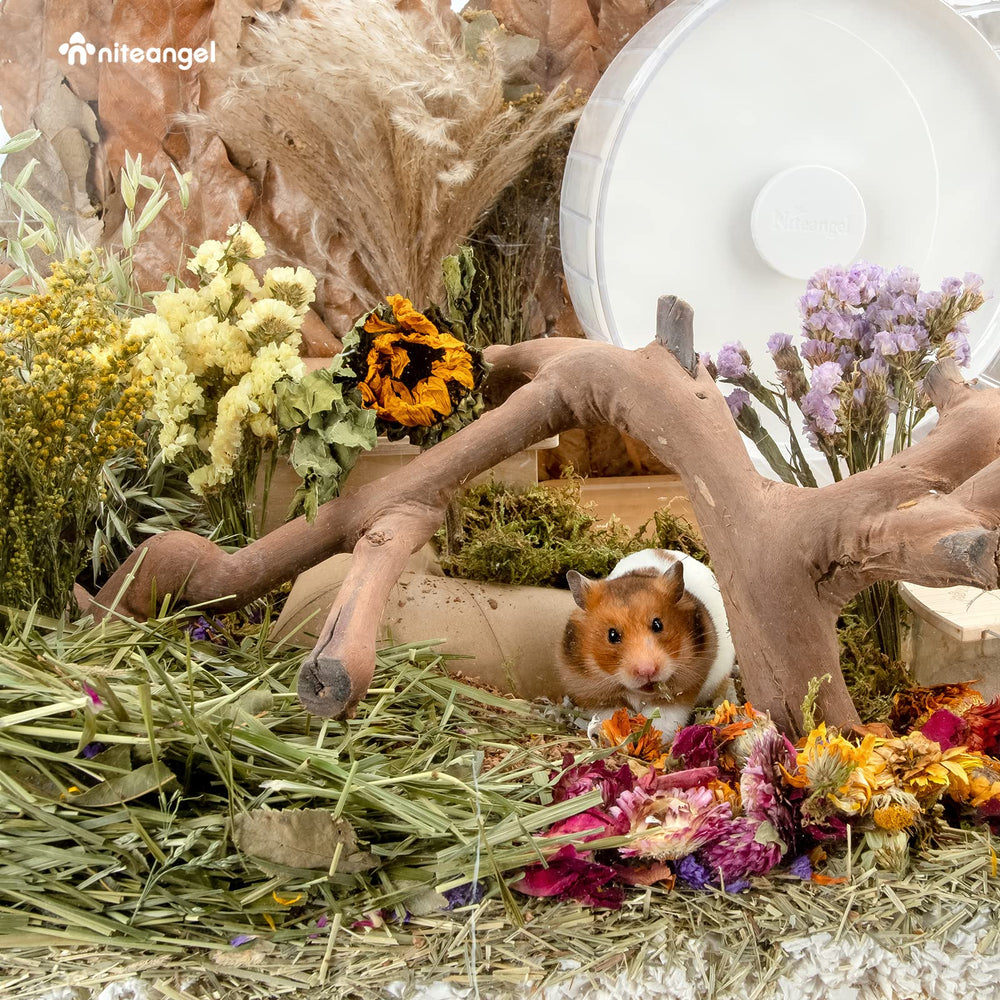 Niteangel Harvest Wind mixed-textures bouquet introduces varied surfaces for exploration.