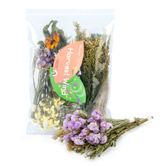 Niteangel Harvest Wind bouquet with purple myosotis enriches habitats with colorful safe decor.