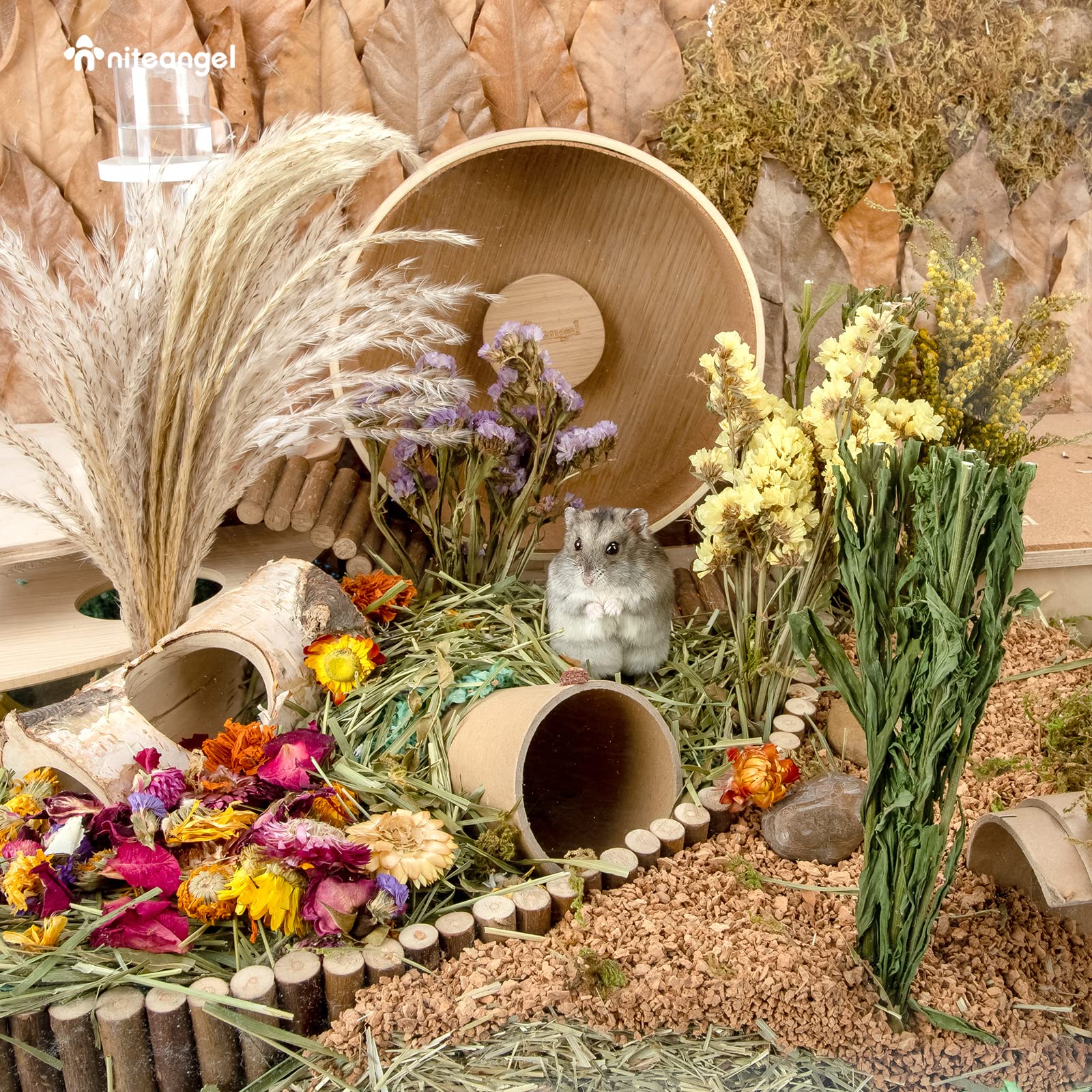 Niteangel Harvest Wind bouquet as a cage decoration idea inspires natural habitat vibes.