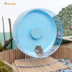 Niteangel wheel front view with dual-ball bearings delivering smooth spins
