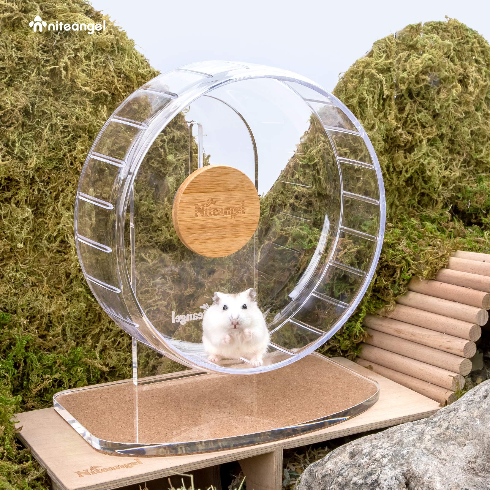Niteangel Super-Silent Hamster Wheel transparent-base image showcases easy visibility and cleaning.