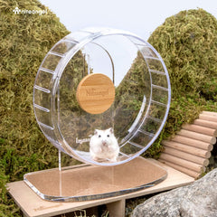 Niteangel Super-Silent Hamster Wheel transparent-base image showcases easy visibility and cleaning.