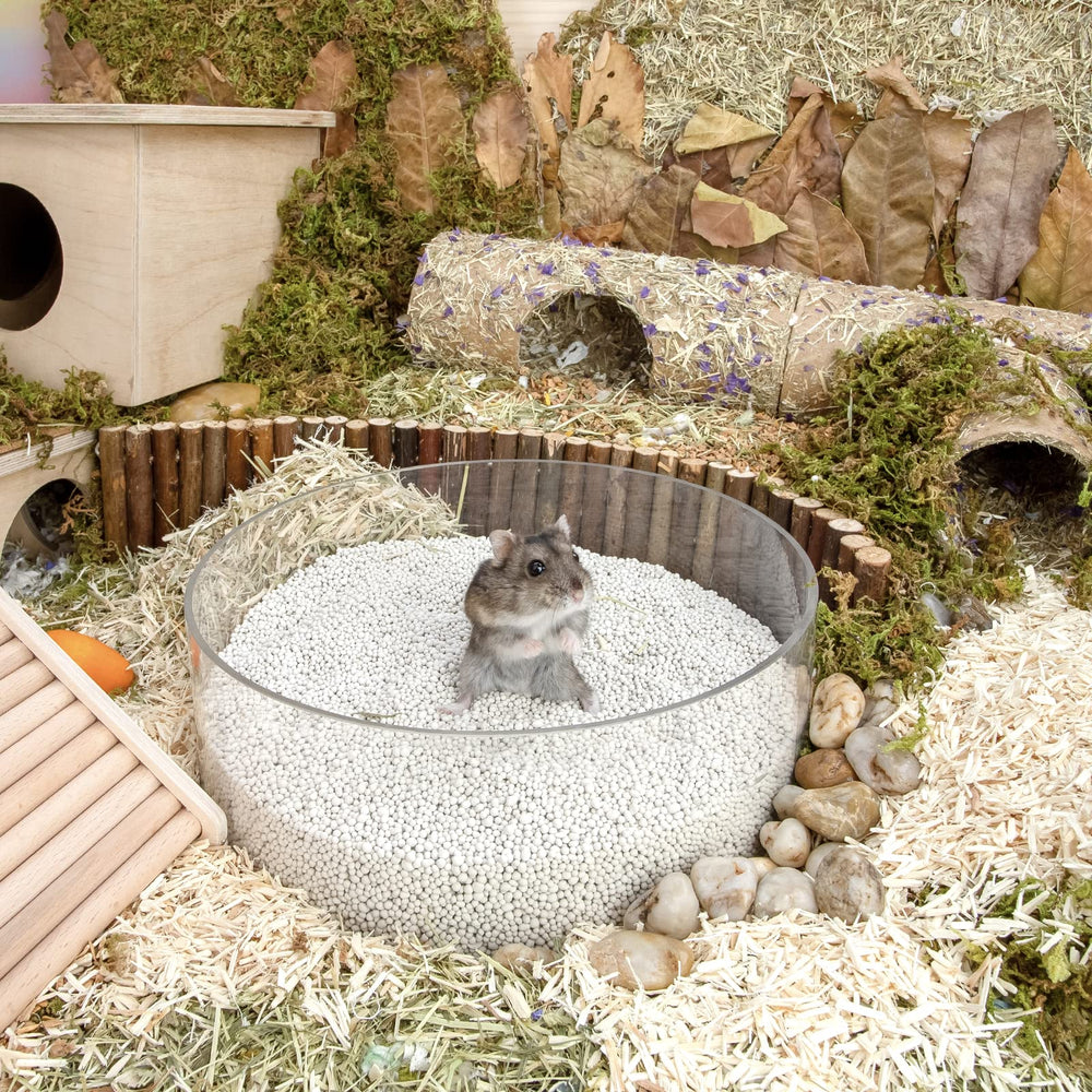 Niteangel Training Litter Potty Sand digging-friendly setup encourages exploration and grooming sessions.