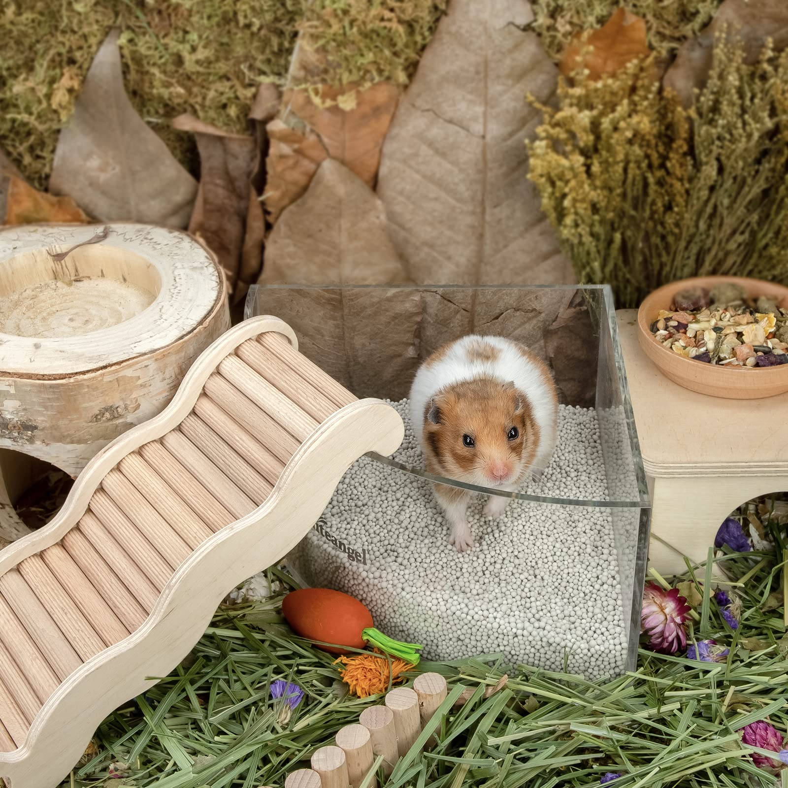 Niteangel Training Litter Potty Sand paw-friendly texture cushions paws during dig-and-roll play.