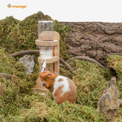 Niteangel water bottle stand base placement flexibility in cage