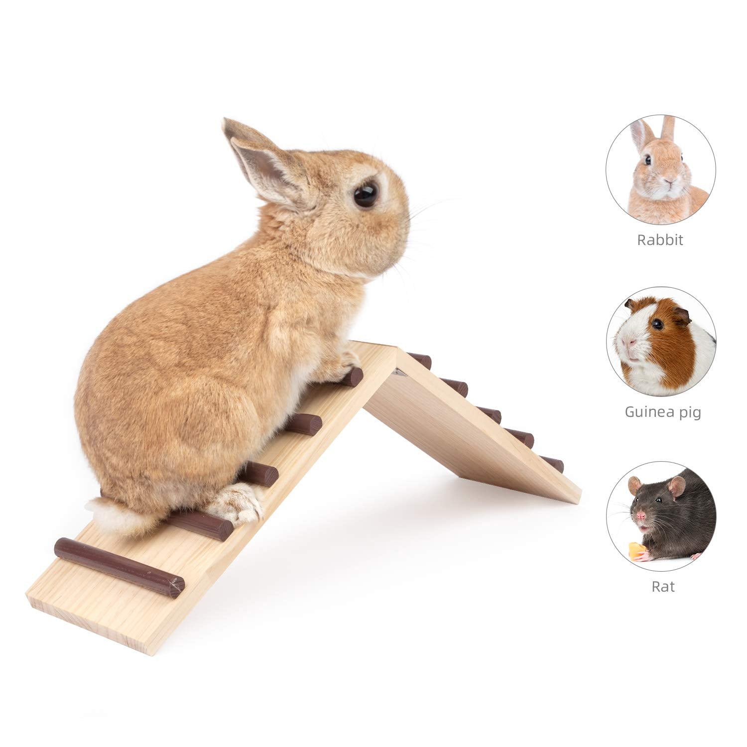 Niteangel Wooden Cage Bridge for chinchilla—compact climbing aid inside the cage.