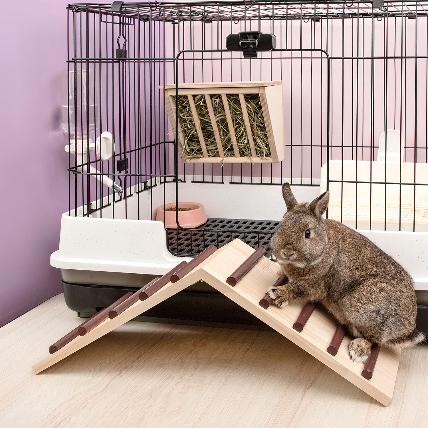 Niteangel Wooden Cage Bridge for guinea pigs—easy access and gentle ascent in the habitat.