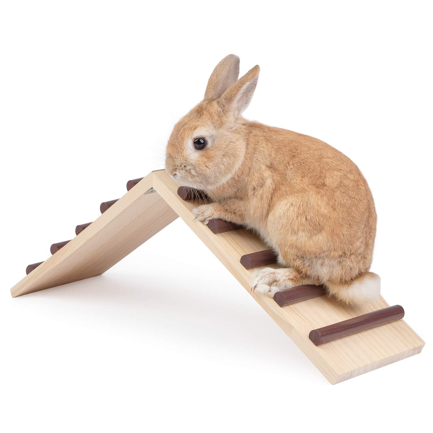 Niteangel Wooden Cage Bridge for rabbits—safe climbing and resting inside the cage.