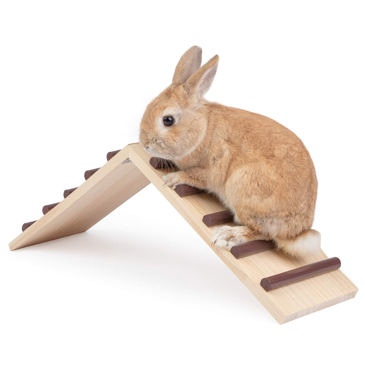 Niteangel Wooden Cage Bridge for rabbits—safe climbing and resting inside the cage.