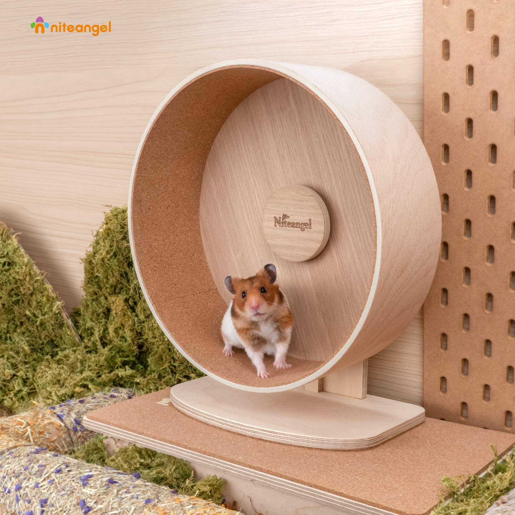 Niteangel-side-view of wheel demonstrates size fit for Syrian hamsters