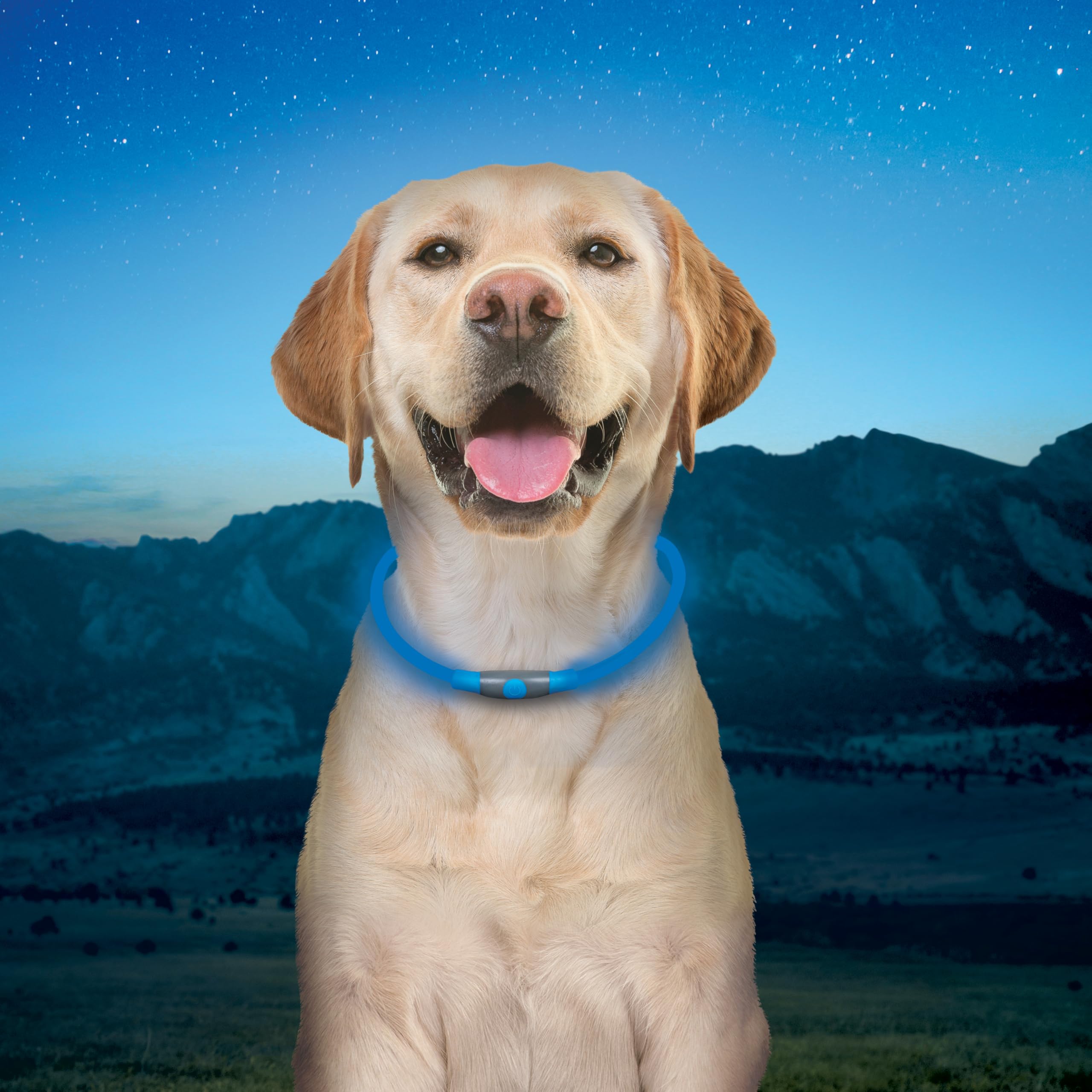 Fácil de colocar sobre el cuello del perro.