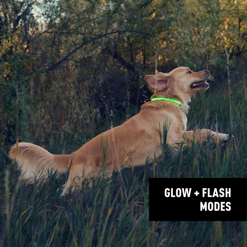 Nite Ize NiteHowl: iluminación de 5 horas para caminatas nocturnas tranquilas
