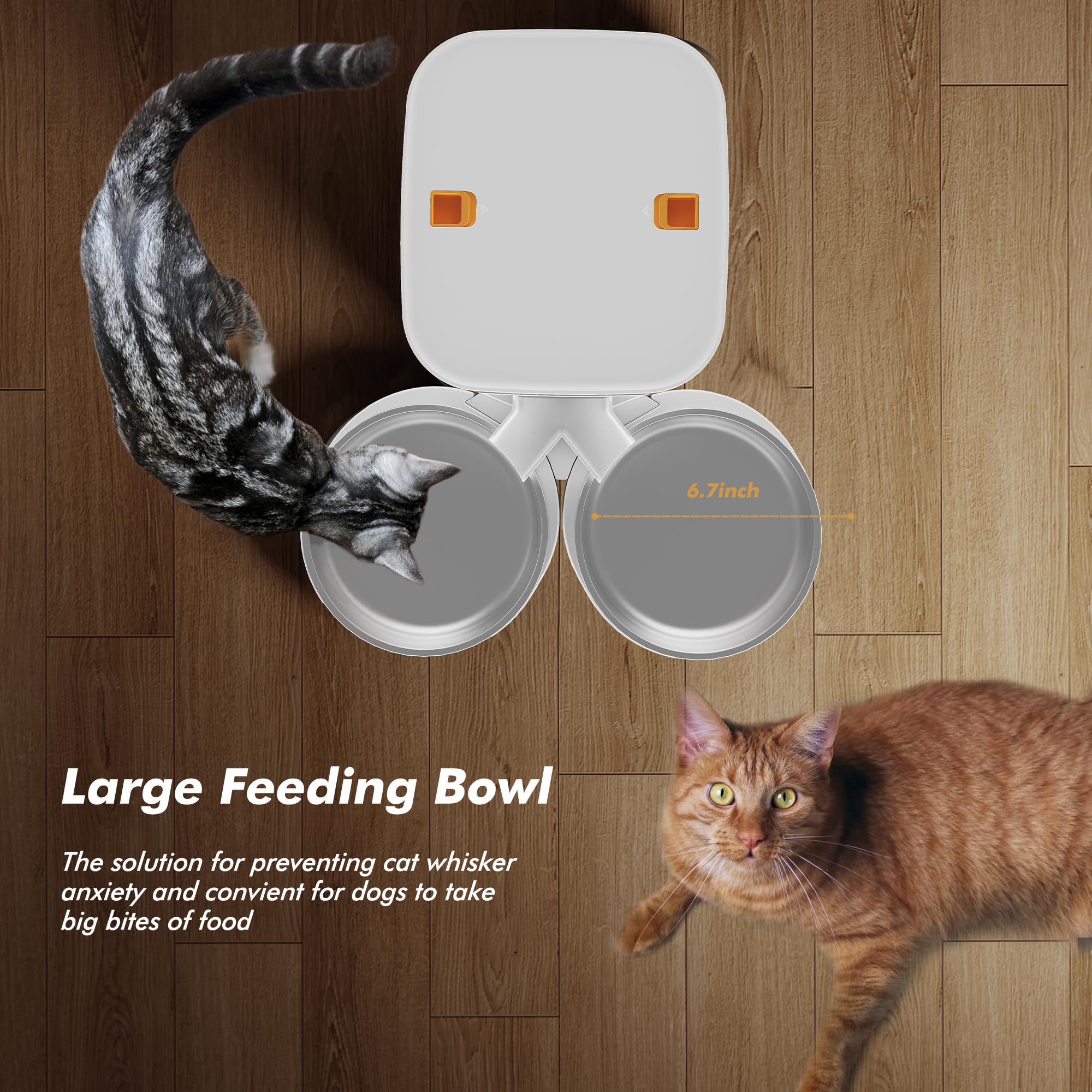 Nityers automatic cat feeder 6.7 inch stainless steel bowl reduces whisker fatigue