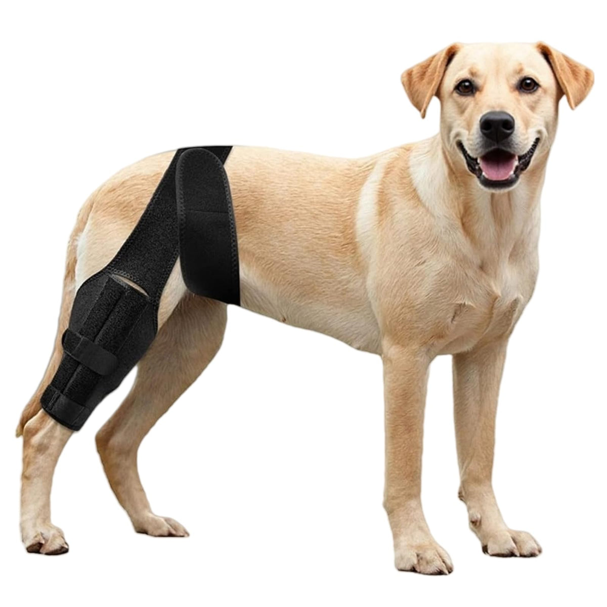 NIUBNKJ dog knee brace adjustable hind-leg for stable activity.