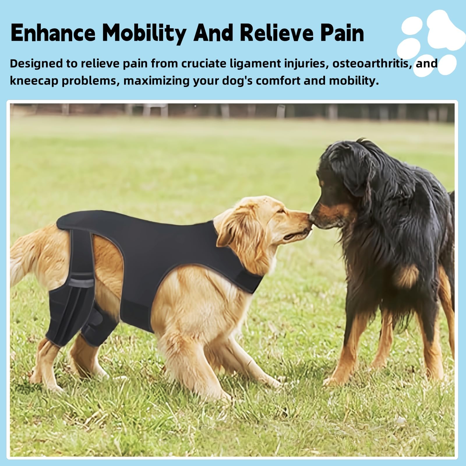 NIUBNKJ S Double Dog Knee Brace with handle and leash attachment for guided mobility