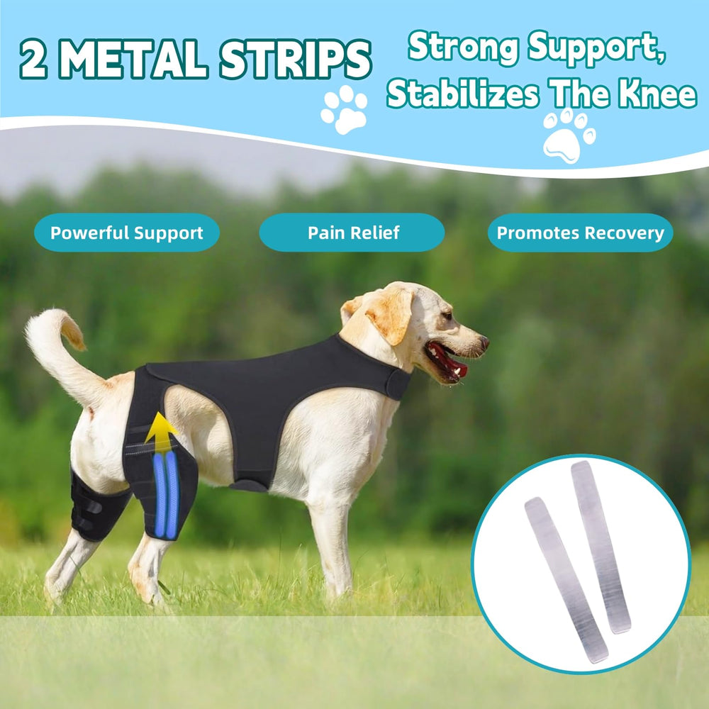 NIUBNKJ S Double Dog Knee Brace made of breathable neoprene for dog comfort