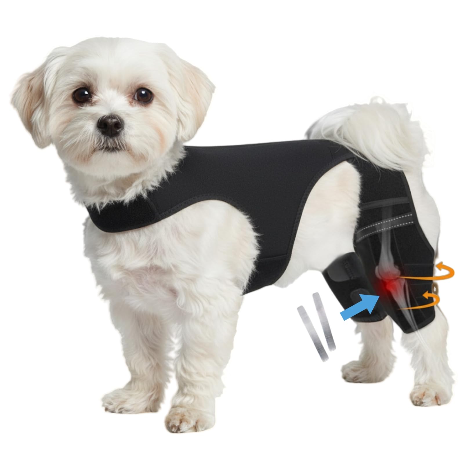 NIUBNKJ S Double Dog Knee Brace front view stabilizing hind legs for steady movement