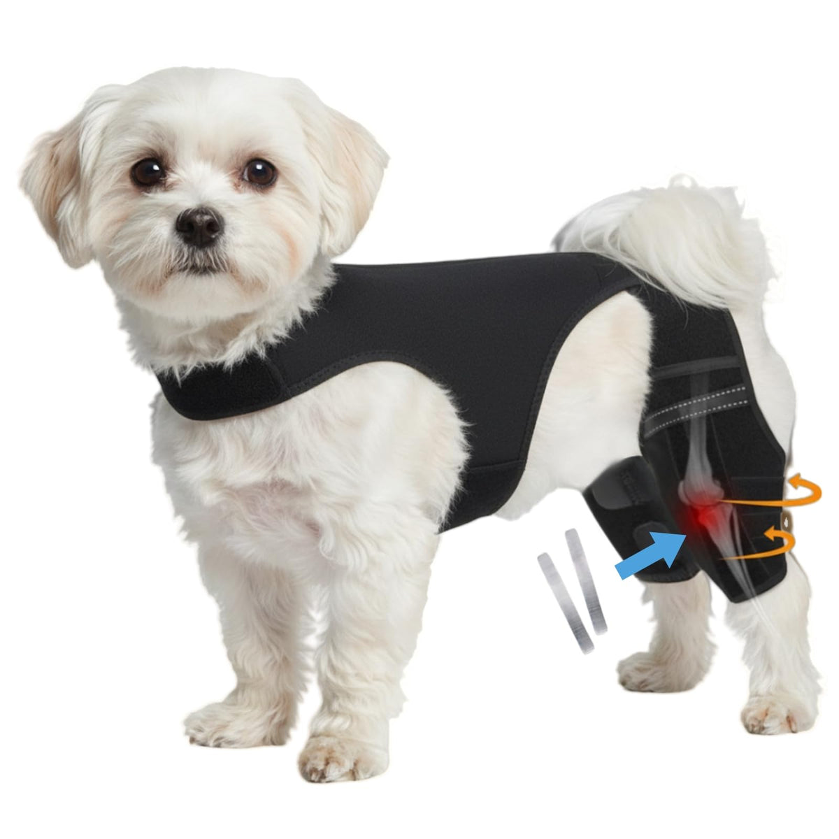 NIUBNKJ S Double Dog Knee Brace front view stabilizing hind legs for steady movement