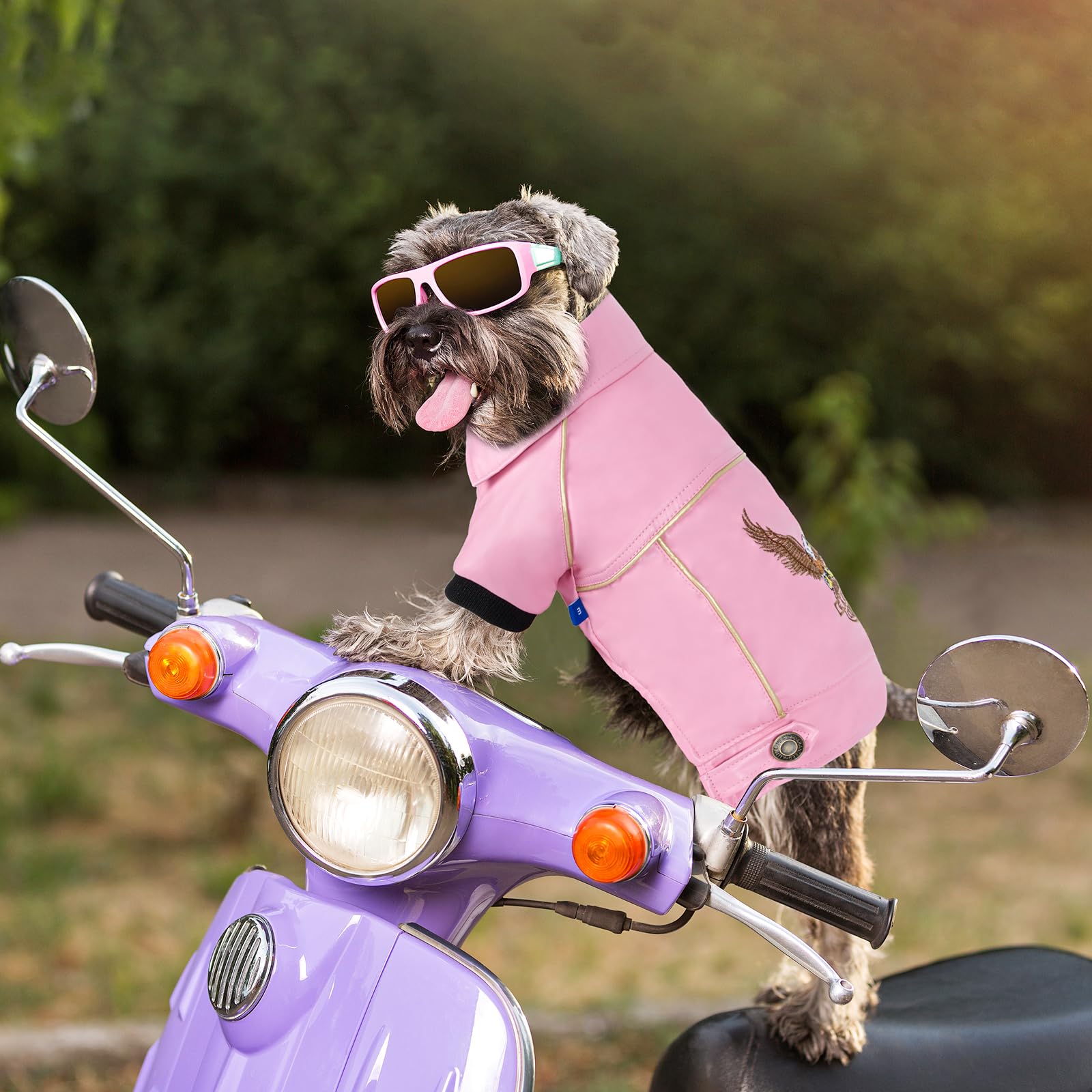 NIULA dog jacket pink product photo—holiday-ready outfit for seasonal celebrations.