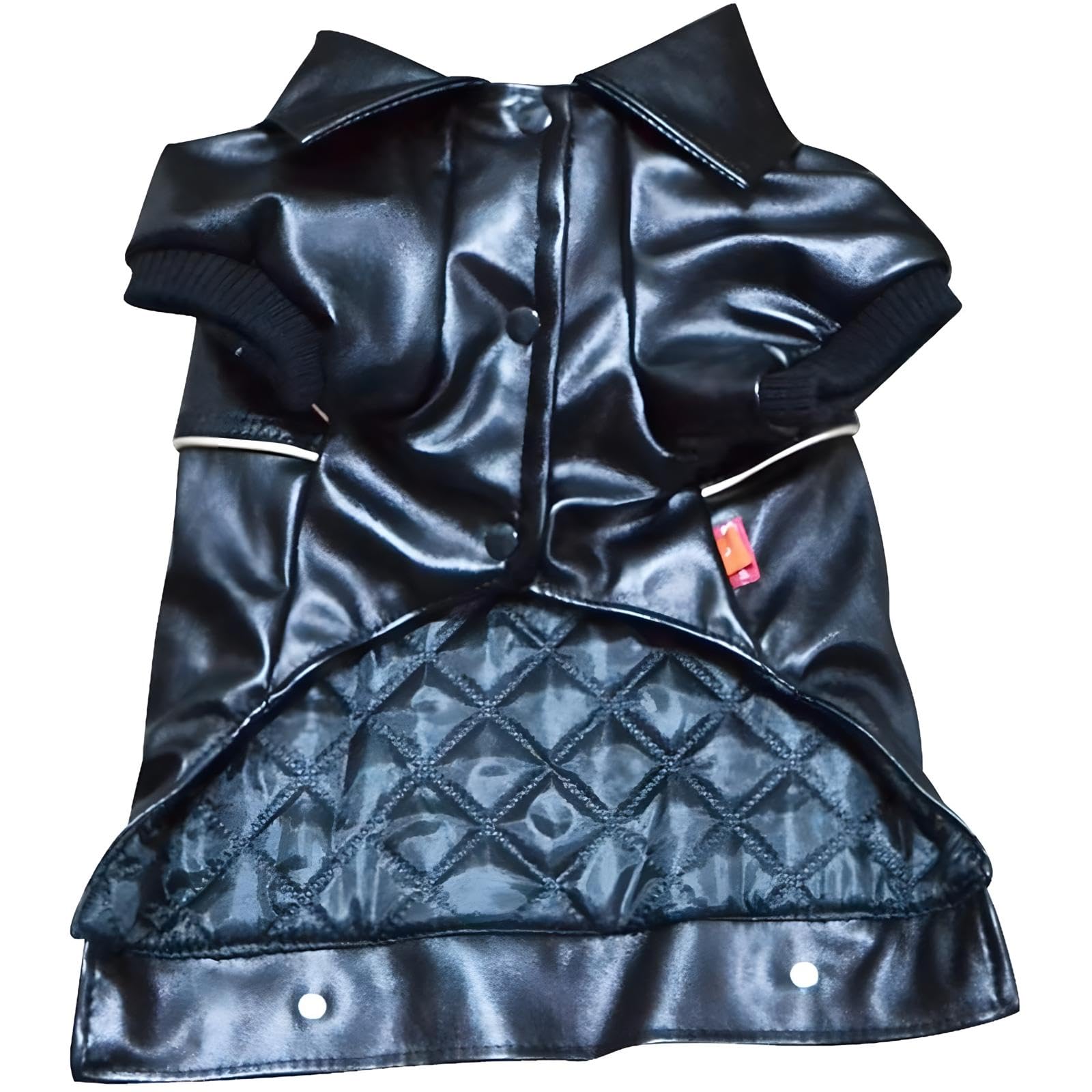 NIULA dog leather jacket buttons design showcases easy-on style for quick dressing