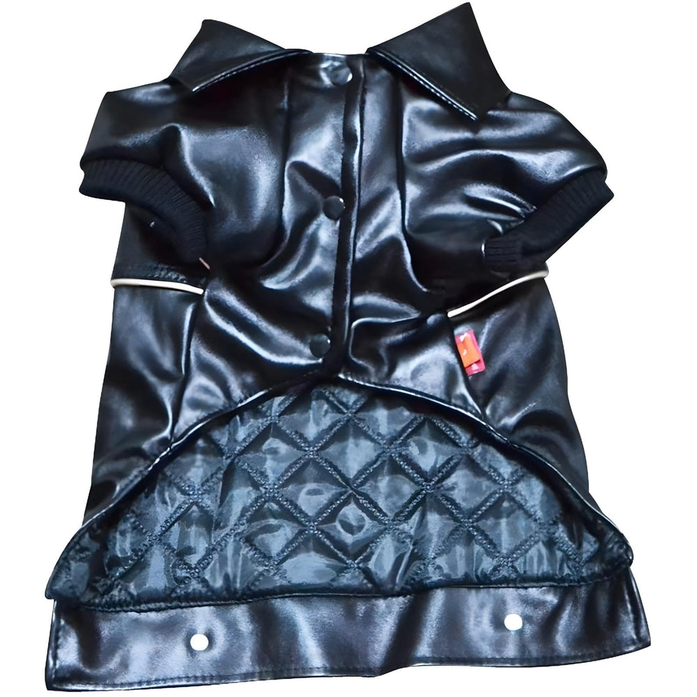 NIULA dog leather jacket buttons design showcases easy-on style for quick dressing