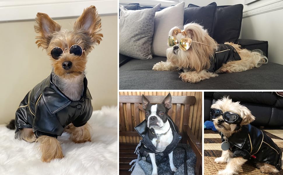 NIULA size-chart-fit image helps pick the right dog size for comfort