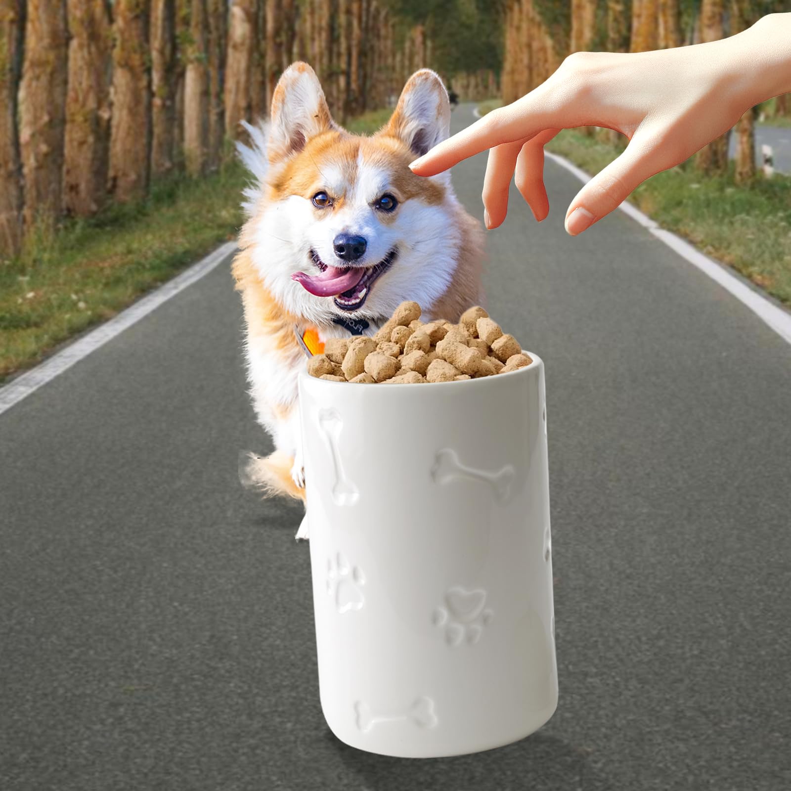NIXBYO white ceramic pet storage jar suitable for dogs and cats on countertops.