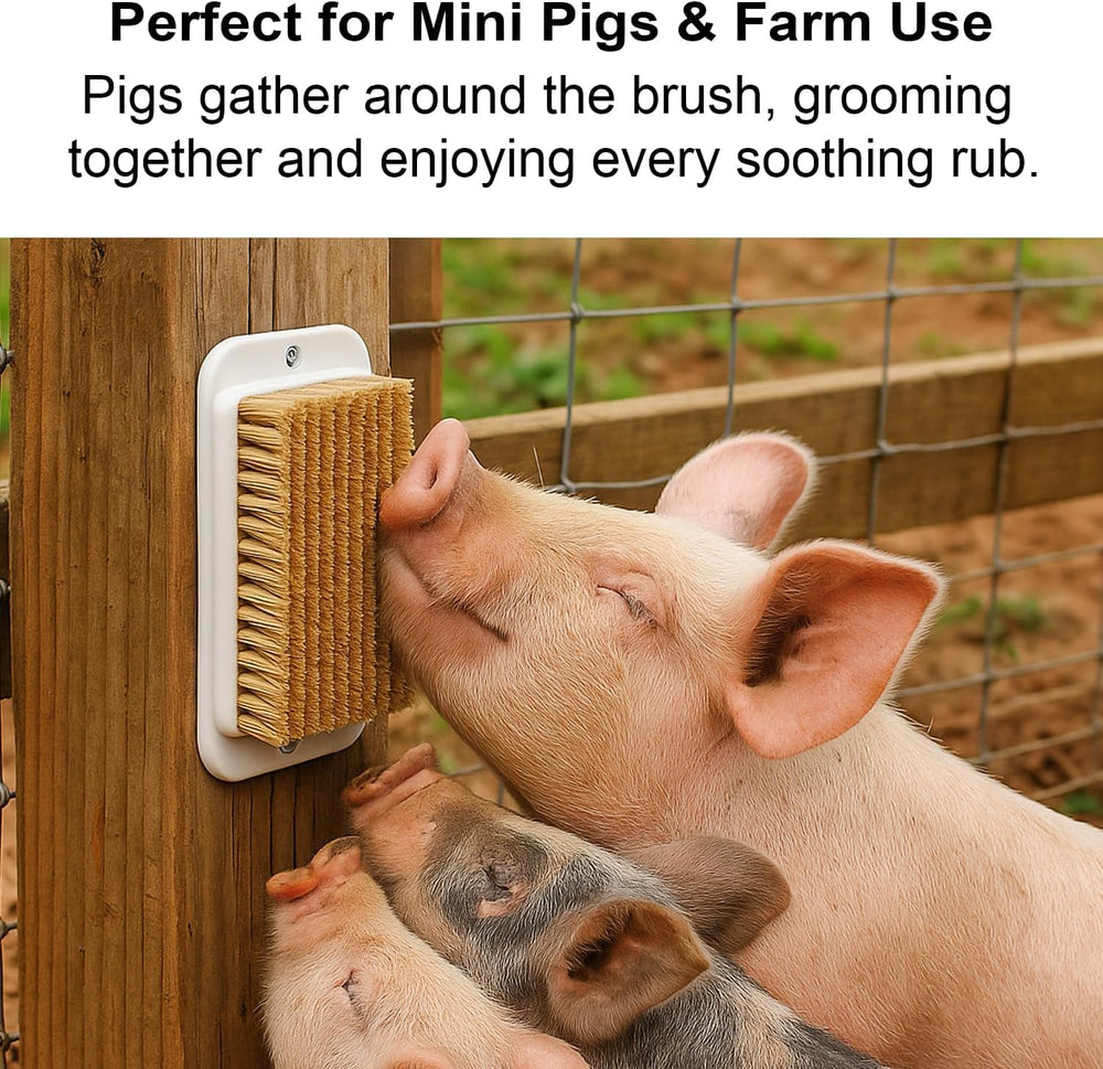 nizqhaj pig toy pens barns outdoor setup enables enrichment anywhere