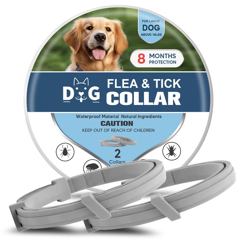 NJKPUYT flea-tick collar on dog for longer outdoor protection