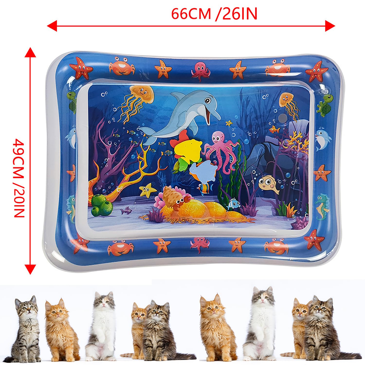 NLAIKE water mat cat play setup shows easy placement in a living space.