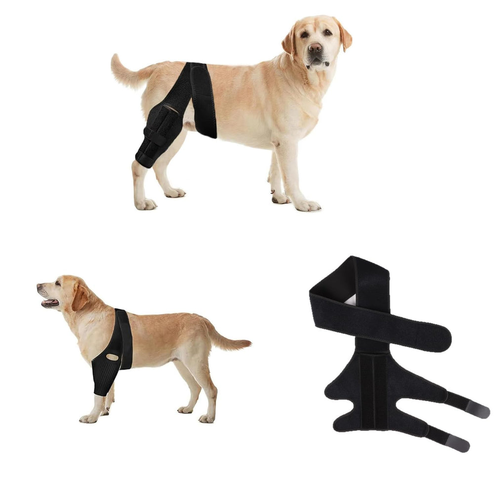 NLAIKE dog knee brace closed strap on dog supports joints during activity