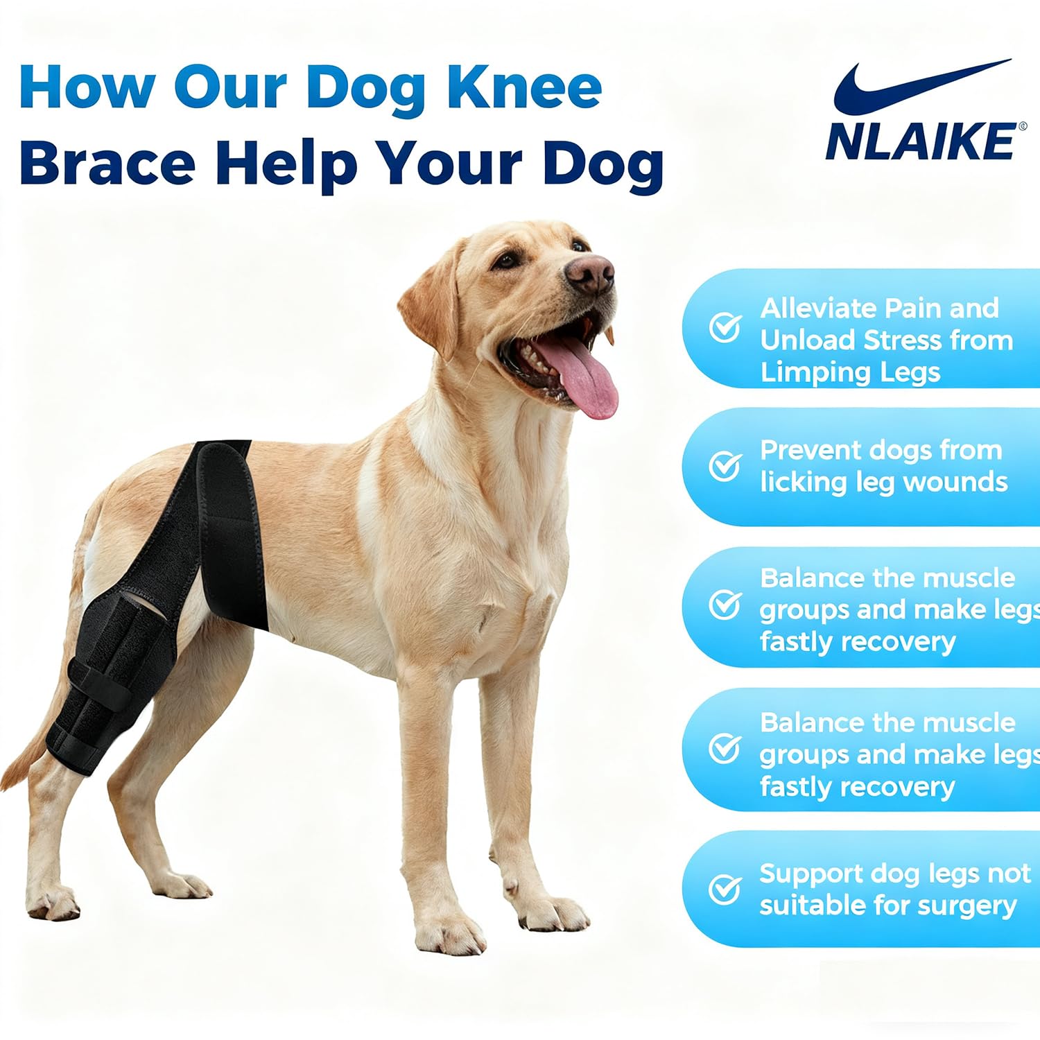 NLAIKE dog knee brace in use on dog during walking shows lightweight design