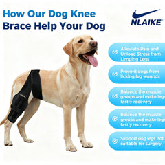 NLAIKE dog knee brace in use on dog during walking shows lightweight design