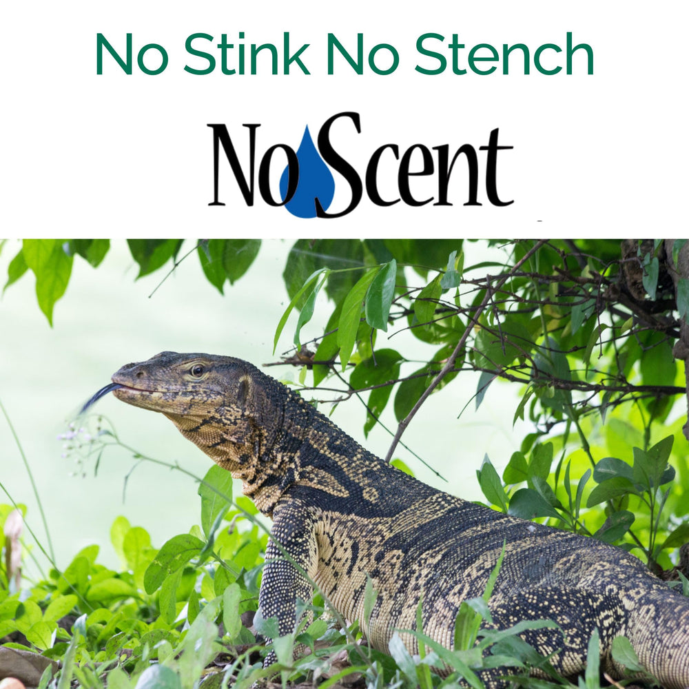 No Scent Reptile Tank Cleaner probiotic formula highlights long-lasting freshness.